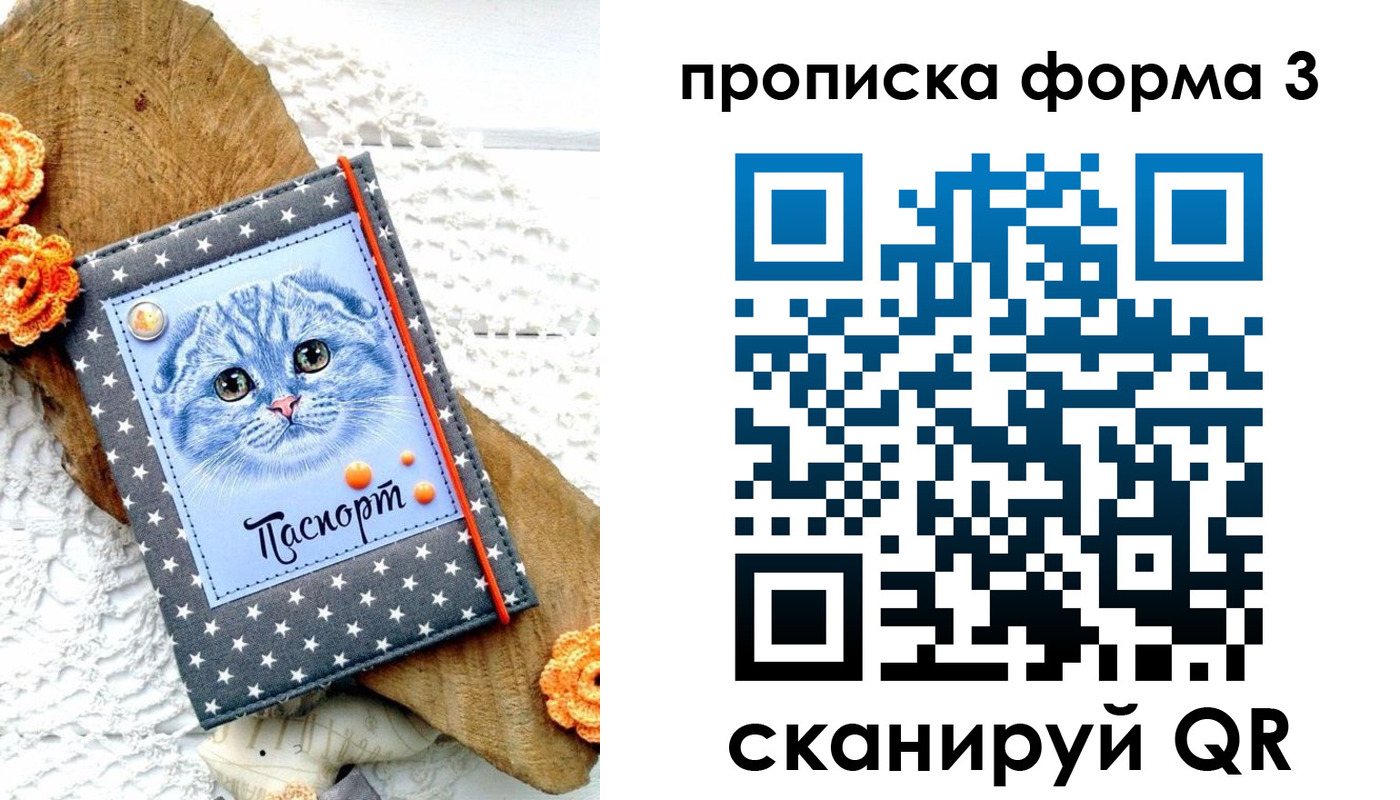 прописка поиск в Миассе